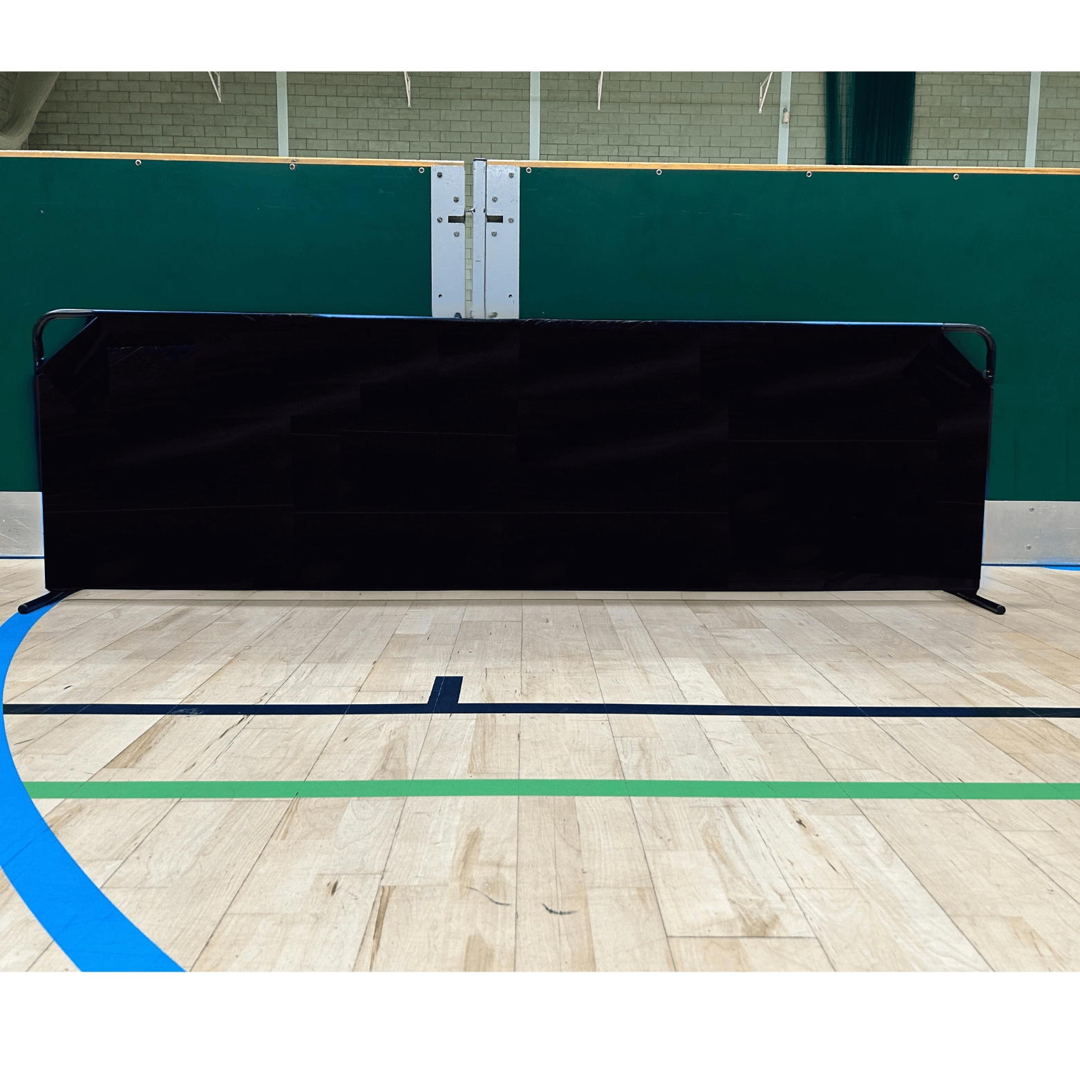 Featured image for “Pickleball Court Divider - Black”